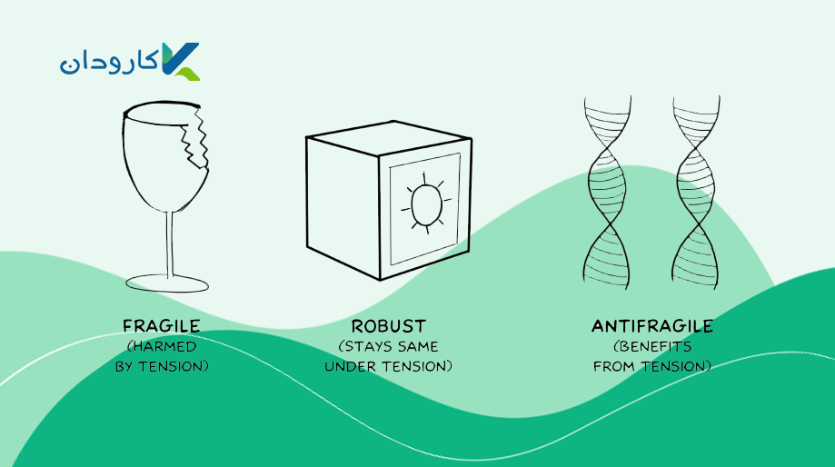 پادشکننده(Antifragile)